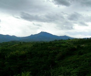 Parque Nacional Natural Munchique Fuente: wikimedia.org por C arango